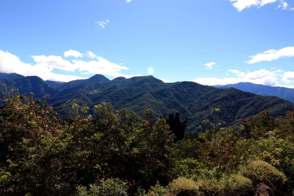 瑪格麗特花園山莊 雲端間與花草相伴 Hotelmylist